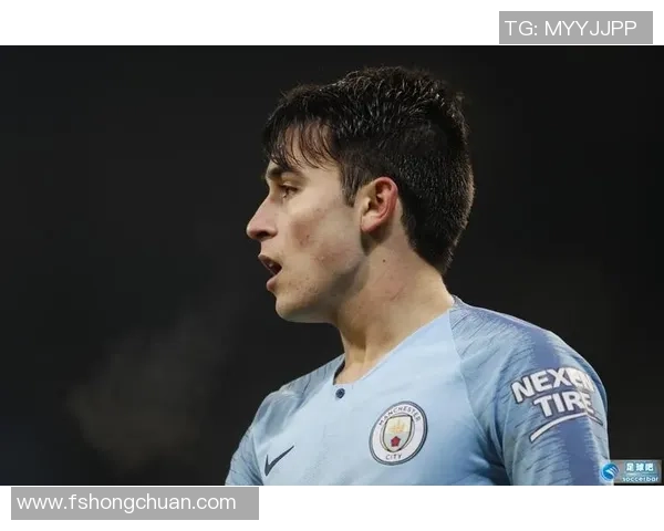 特尔·阿维斯：从足球新星到世界级球员的成长之路